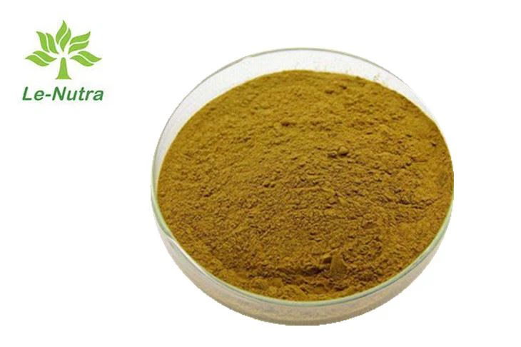 Maca Extract Powder